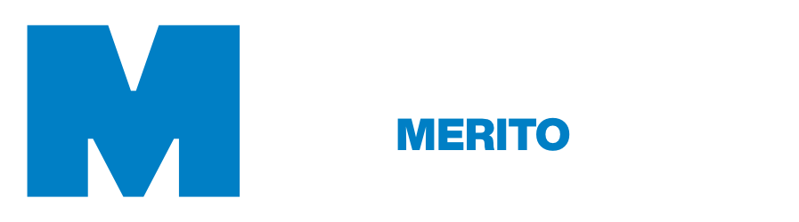 Logo WSB Merito